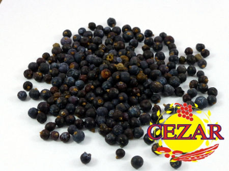 JAŁOWIEC ZIARNO OWOCE