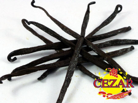 Wanilia aromatyczna 1 szt. laska grube laski wanilii 14 - 18 cm