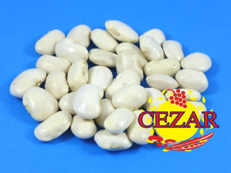 FASOLA PIĘKNY JAŚ MAŁY