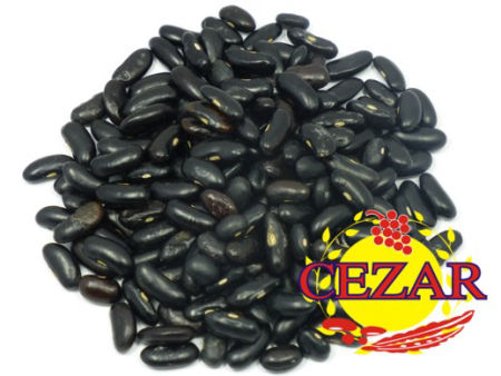 Fasola czarna