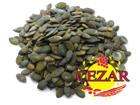 PESTKI DYNI DYNIA ŁUSKANA POLSKA CIEMNA