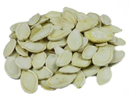 DYNIA PESTKI DYNI W ŁUPINIE