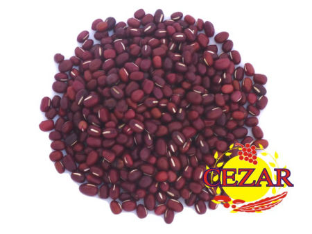 FASOLA ADZUKI