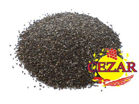 NASIONA CHIA-SZAŁWIA HISZPAŃSKA