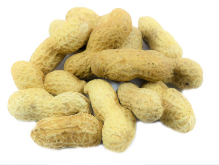 Orzechy ziemne FISTASZKI w łupinie