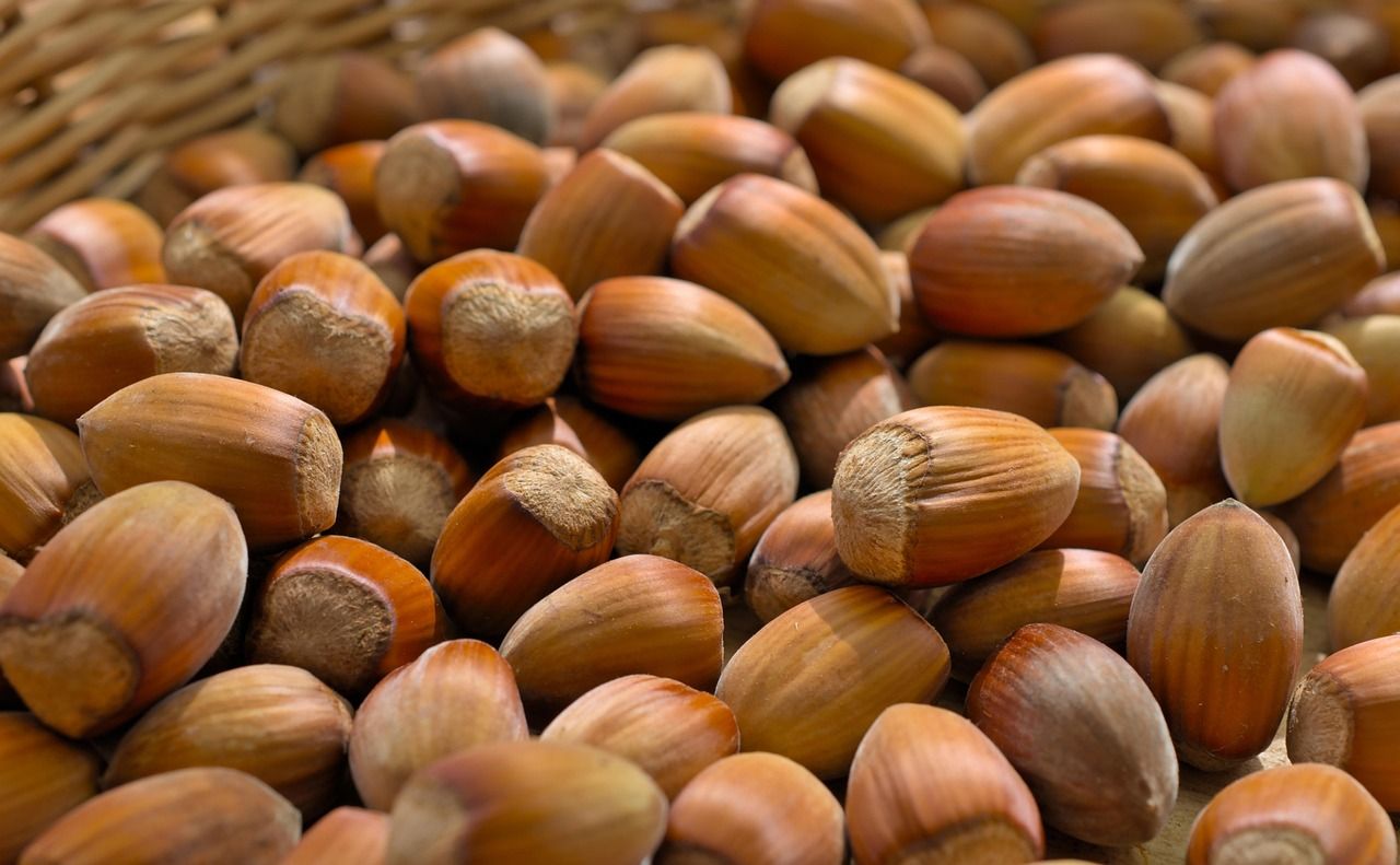 Orzechy laskowe